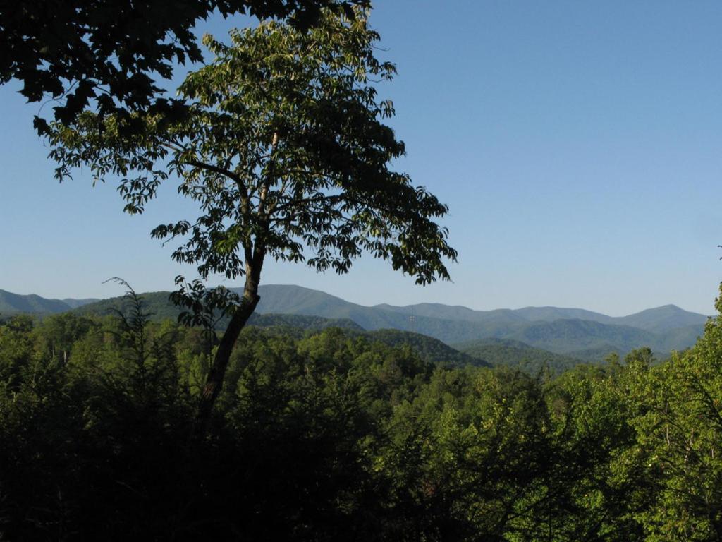 Cubs Cove Villa Gatlinburg Buitenkant foto